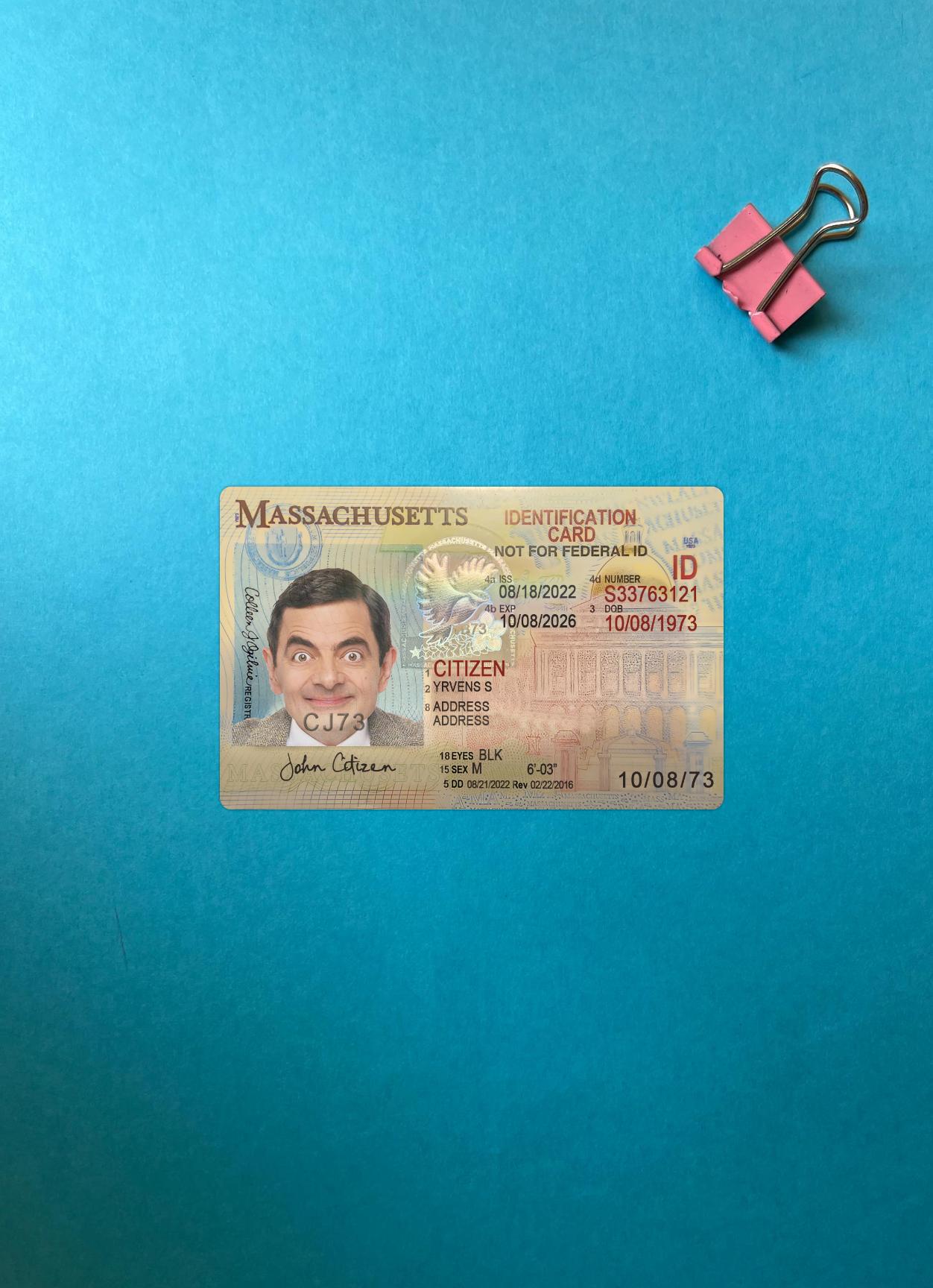 Printable USA Massachusetts ID card photolook real example